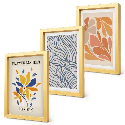 Set de 3 tablouri cu flori în stil modern și modele abstracte