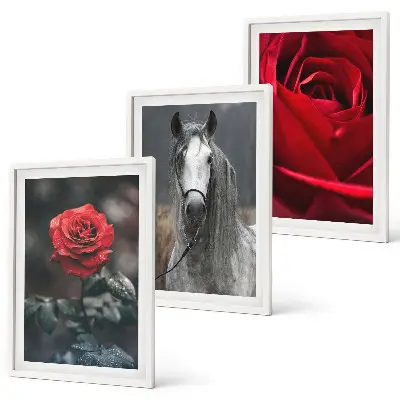 Set de tablouri decorative cu trandafiri roșii, cal și lume gri