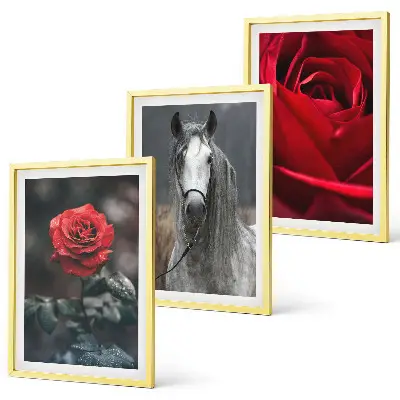 Set de tablouri decorative cu trandafiri roșii, cal și lume gri