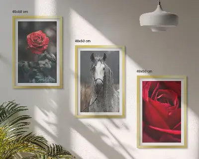 Set de tablouri decorative cu trandafiri roșii, cal și lume gri