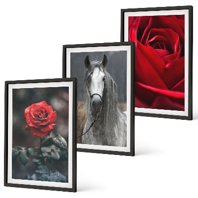 Set tablouri decorative Trandafiri roșii, cal, lume gri