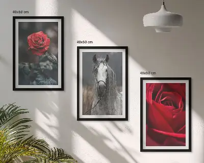 Set de tablouri decorative cu trandafiri roșii, cal și lume gri
