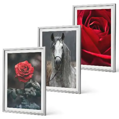 Set de tablouri decorative cu trandafiri roșii, cal și lume gri