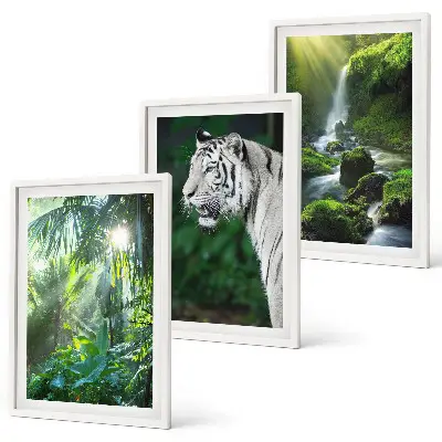 Set tablouri pentru dormitor cu cascada tigrului din junglă