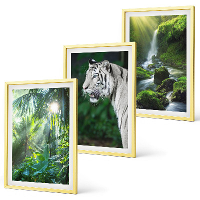 Set tablouri pentru dormitor Cascada tigrului din junglă