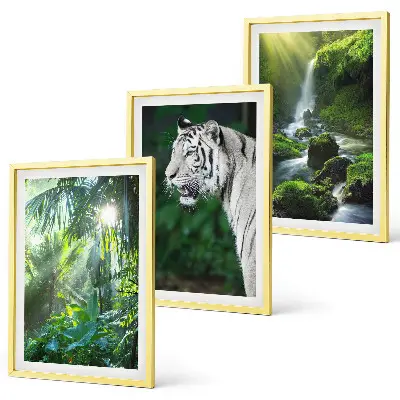 Set tablouri pentru dormitor cu cascada tigrului din junglă
