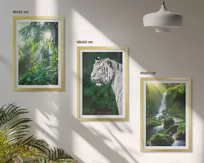 Set tablouri pentru dormitor cu cascada tigrului din junglă