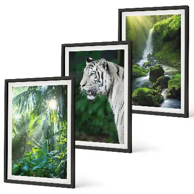 Set tablouri pentru dormitor cu cascada tigrului din junglă