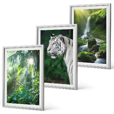 Set tablouri pentru dormitor cu cascada tigrului din junglă