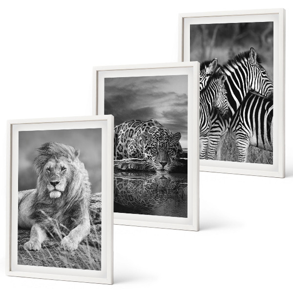 Set tablouri decorative Animale sălbatice din savană