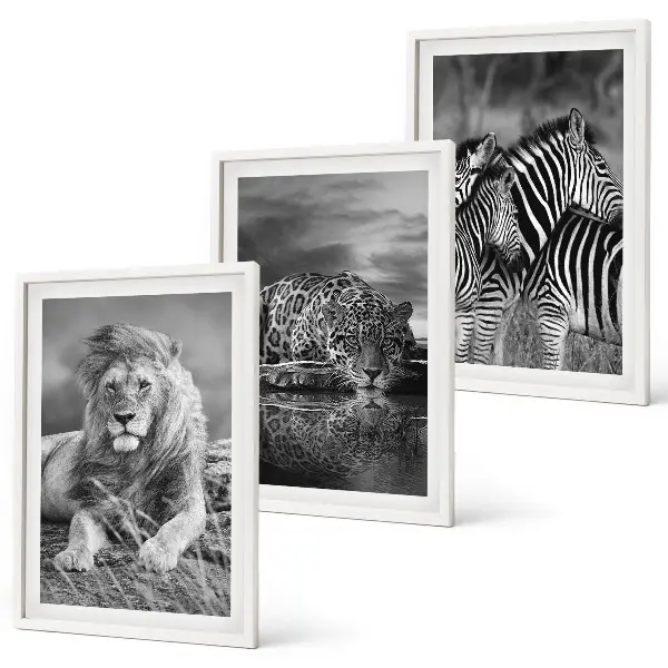 Set de tablouri decorative cu animale sălbatice din savană