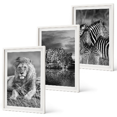Set tablouri decorative Animale sălbatice din savană