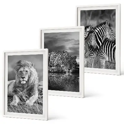 Set de tablouri decorative cu animale sălbatice din savană
