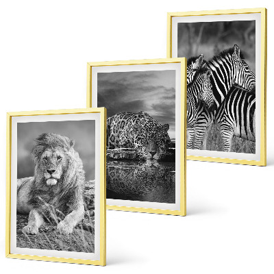 Set tablouri decorative Animale sălbatice din savană