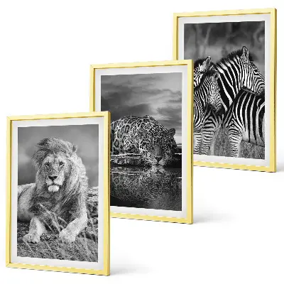 Set de tablouri decorative cu animale sălbatice din savană
