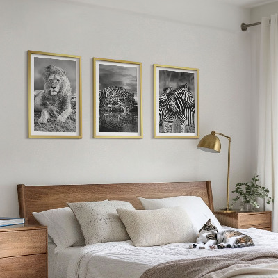 Set tablouri decorative Animale sălbatice din savană