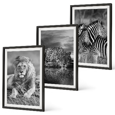 Set tablouri decorative Animale sălbatice din savană
