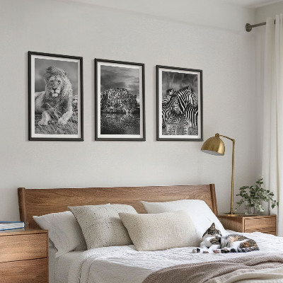 Set tablouri decorative Animale sălbatice din savană