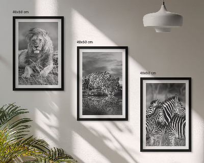 Set tablouri decorative Animale sălbatice din savană