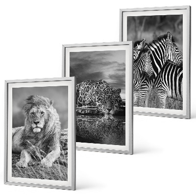 Set tablouri decorative Animale sălbatice din savană