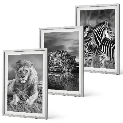Set de tablouri decorative cu animale sălbatice din savană