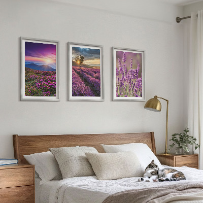 Set tablouri decorative Apus de soare pe câmpurile de lavandă