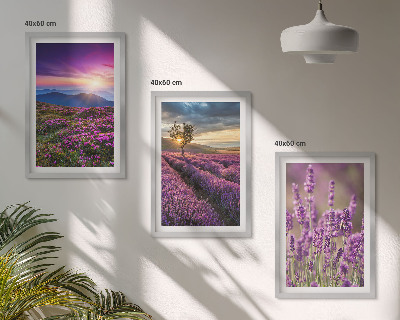 Set tablouri decorative Apus de soare pe câmpurile de lavandă