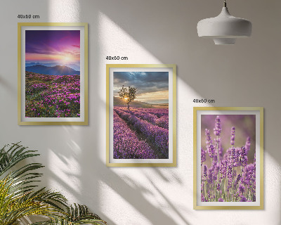 Set tablouri decorative Apus de soare pe câmpurile de lavandă