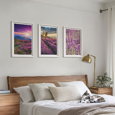Set tablouri decorative Apus de soare pe câmpurile de lavandă