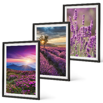 Set tablouri decorative Apus de soare pe câmpurile de lavandă