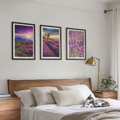 Set tablouri decorative Apus de soare pe câmpurile de lavandă