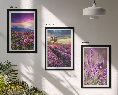 Set tablouri decorative Apus de soare pe câmpurile de lavandă