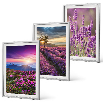 Set tablouri decorative Apus de soare pe câmpurile de lavandă