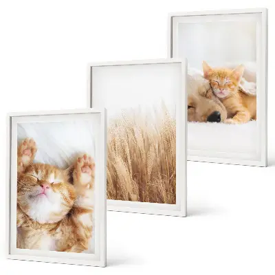 Set de tablouri pentru dormitor cu animale drăguțe stil boho, pisici și câini