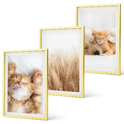 Set de tablouri pentru dormitor cu animale drăguțe stil boho, pisici și câini