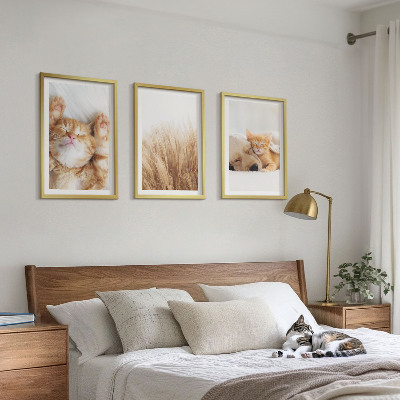 Set tablouri pentru dormitor Animale drăguțe, pisici, câini, boho