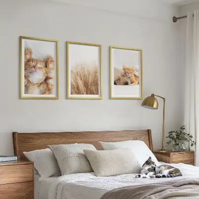 Set de tablouri pentru dormitor cu animale drăguțe stil boho, pisici și câini