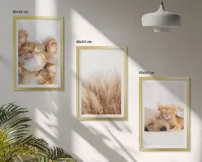 Set de tablouri pentru dormitor cu animale drăguțe stil boho, pisici și câini