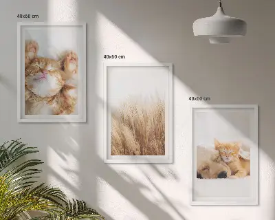 Set de tablouri pentru dormitor cu animale drăguțe stil boho, pisici și câini