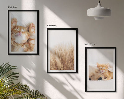 Set tablouri pentru dormitor Animale drăguțe, pisici, câini, boho