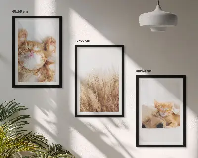 Set de tablouri pentru dormitor cu animale drăguțe stil boho, pisici și câini