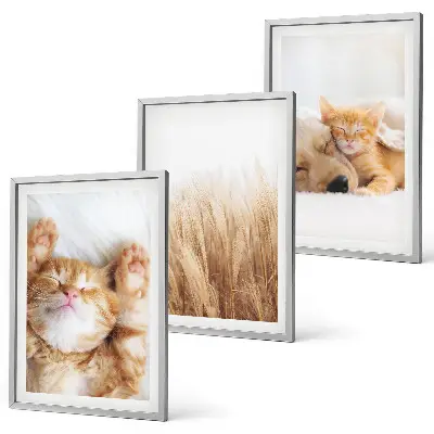 Set de tablouri pentru dormitor cu animale drăguțe stil boho, pisici și câini