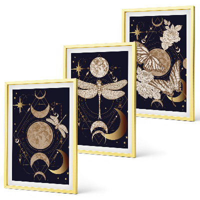 Set tablouri decorative Motive naturale flori de lună