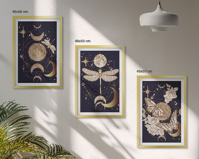 Set tablouri decorative Motive naturale flori de lună