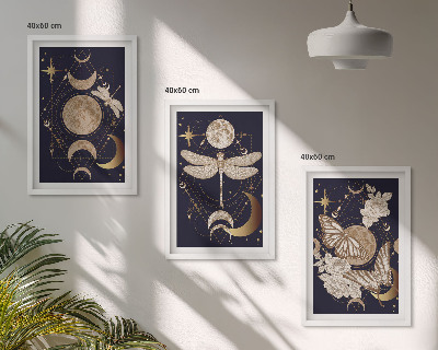 Set tablouri decorative Motive naturale flori de lună