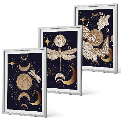 Set tablouri decorative Motive naturale flori de lună