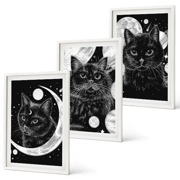 Set tablouri decorative pisici negre în spațiul lunar
