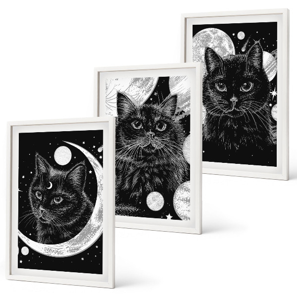 Set tablouri decorative Pisici negre, spațiu lunar