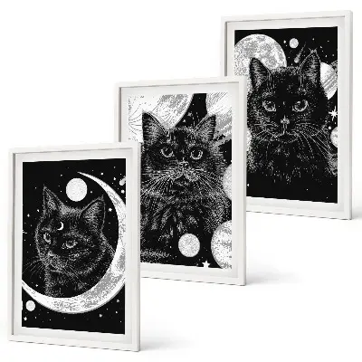 Set tablouri decorative pisici negre în spațiul lunar
