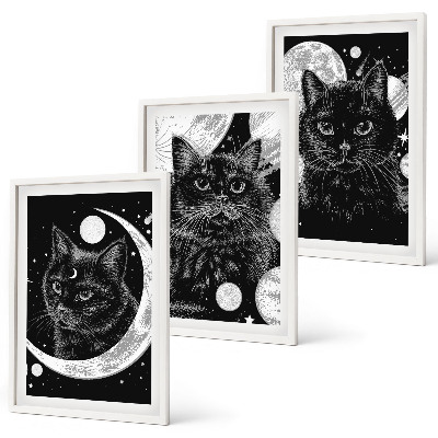Set tablouri decorative Pisici negre, spațiu lunar